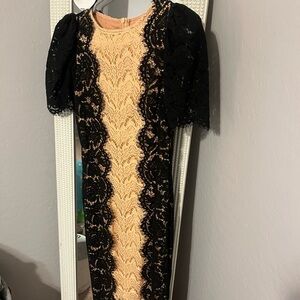 Zara Elegant Black and Cream Lace Midi Dress